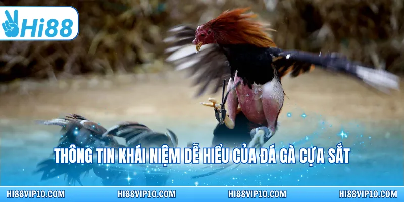 Thông tin khái niệm dễ hiểu của đá gà cựa sắt